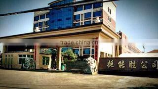 Zhejiang Ting Neng Sheng Machine Co., Ltd. company overview - view 2