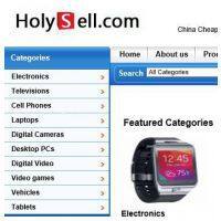 holysell Electronics Technology International Trade Co.Ltd