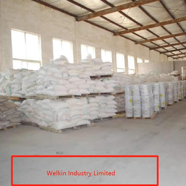 Shenzhen Welkin Industry Limited company overview - view 1