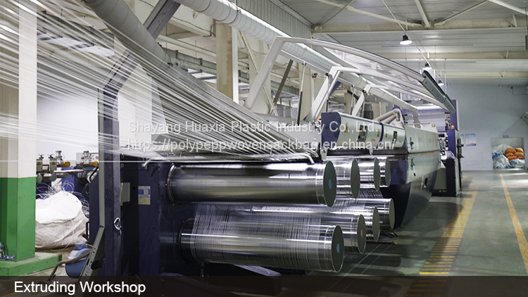 QQ图片20230912173941