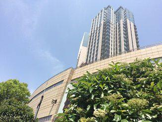 Donghai County WONYUAN Industry And Trade Co.,Ltd company overview - view 1