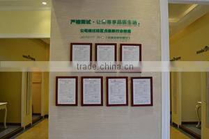 Foshan Nanhai Wanlei Building Paint Co., Ltd. company overview - view 3