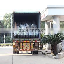 Ningbo Beilun Onefeng Sports Products Co., Ltd. company overview - view 3