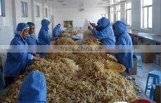 Qingdao Kington Produce Co., Ltd. company overview - view 4