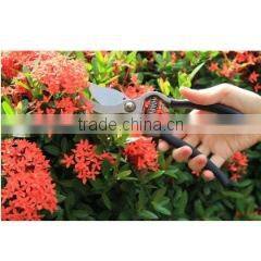 Quality Garden Tools Inc. company overview - view 1