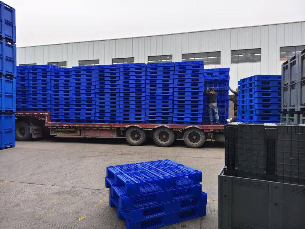 4243cc6420f7f58c48b80f8831d92dee