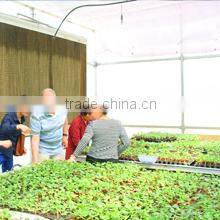 Weishi Huifa Machinery Plant company overview - view 3