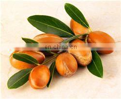 full automatic argania spinosa/argan oil/fat/grease extractor/extracting machines