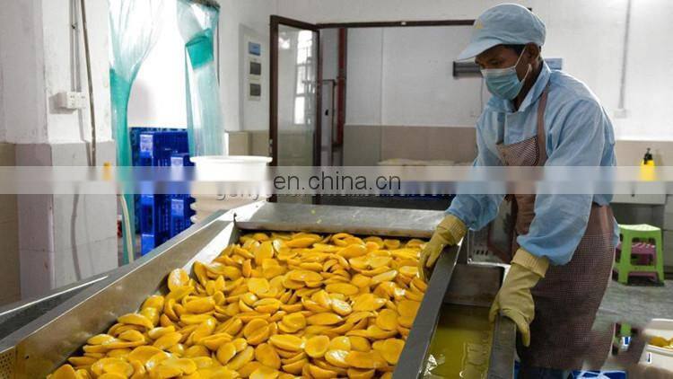 fresh mango cutting machine / mango slicing machine