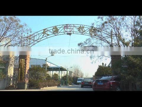 Longkou Tianhai Precision Machinery Co., Ltd. company overview - view 1