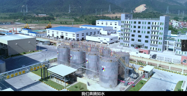 Guangdong Henghe Yongsheng Industrial Co.,Ltd company overview - view 3