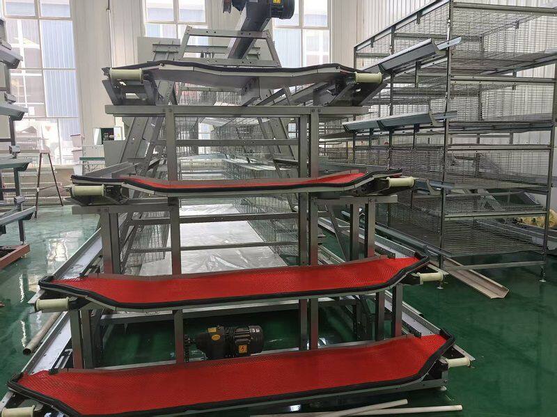 阶梯笼专用平台捡蛋机.jpg