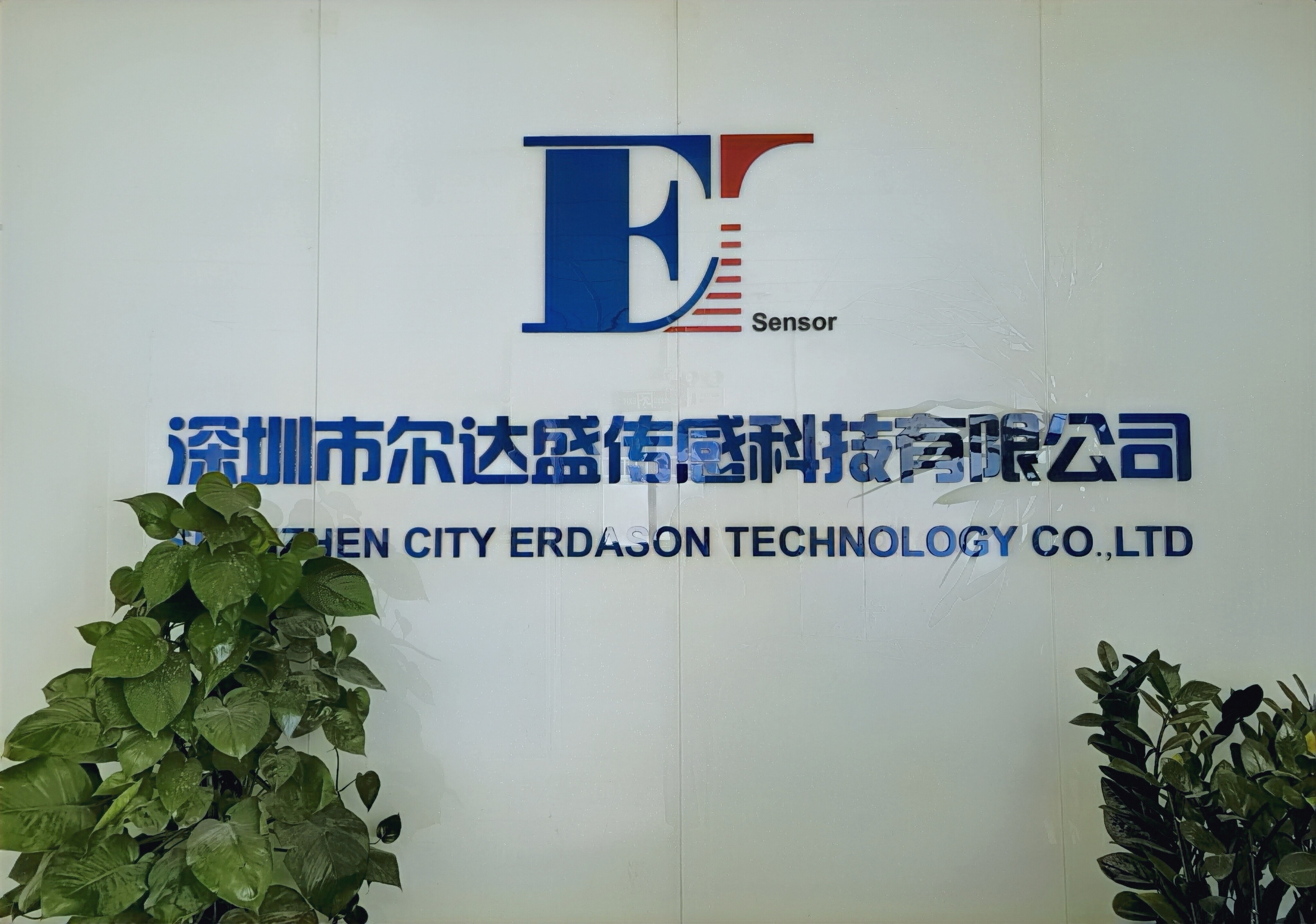 Shenzhen Erdsaon Sensor Technology Co.,Ltd. company overview - view 1