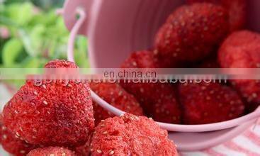 higher fruit and vegetable freeze dryer equipment