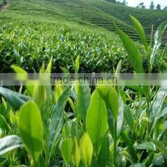 Changchun Jinsheng Zhuoyu Trading Co., Ltd. company overview - view 2