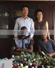 Shanghai Chunkun Packaging Machinery Co., Ltd. company overview - view 3