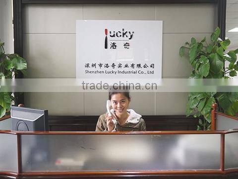Shenzhen Lucky Industrial Co., Ltd. company overview - view 1