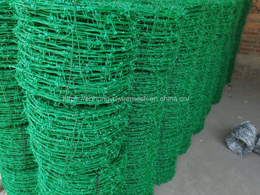 269106153_434195065040999_1502926848867344318_n