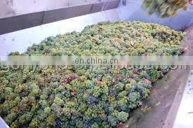 China good quality grape crusher destemmer