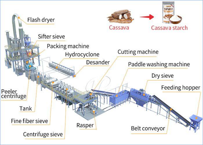 Cassava Starch Processing for Export: Meeting International Standards with the Right Equipment