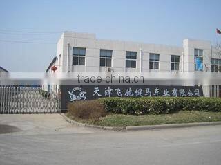 Tianjin Feichi Jianma Bicycle Co., Ltd. company overview - view 1