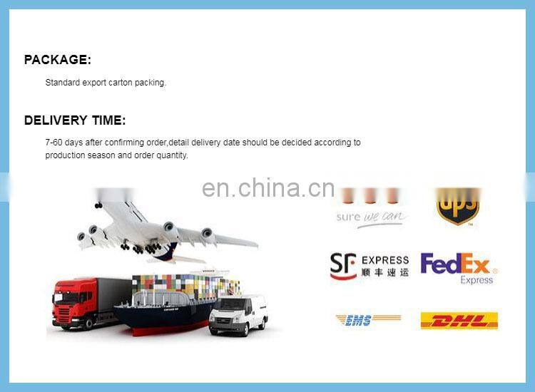 electric vacuum okra frying equipment