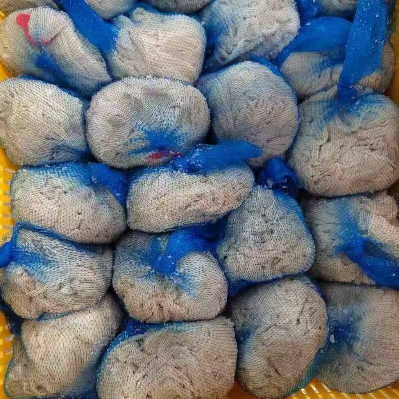 045d188636a0b995412d3d4f725f9e2