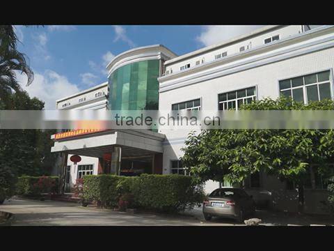 Shenzhen Tongfang Electronic New-Material Co., Ltd. company overview - view 1