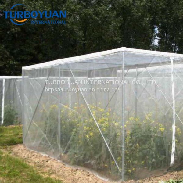 greenhouse fruit anti insect proof netting 40 mesh of Insect net