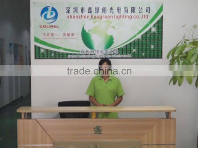 Shenzhen FineGreen Lighting Co., Ltd. company overview - view 1