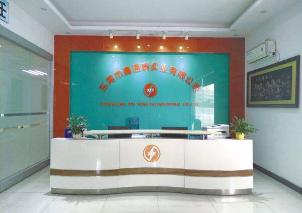 Dongguan Xin Tong Tai Industrial Co., Ltd company overview - view 1