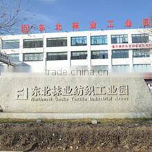 Jilin Province Northeast Socks Industry Park Hosiery Knitting Co., Ltd. company overview - view 1