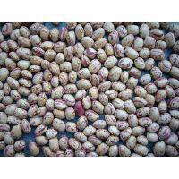 Evergold International Trade Ltd company overview - view 1