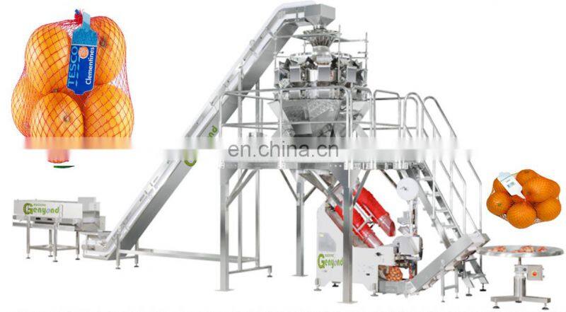 Automatic garlic potato fruit apple orange citrus lemon  Nylon Mesh Net Bag counting weighting packing Packaging Machine