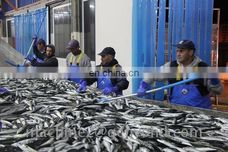 HACCP seafood canning machine best quality