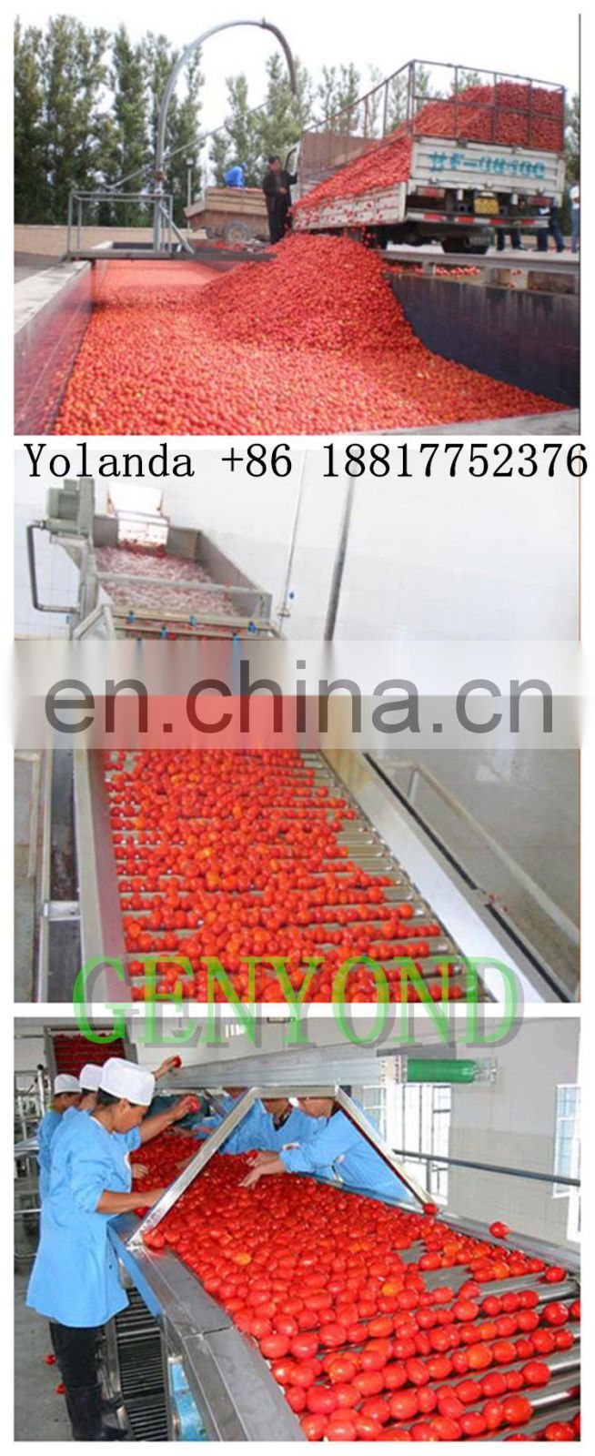 high quality automatic tomato paste production line