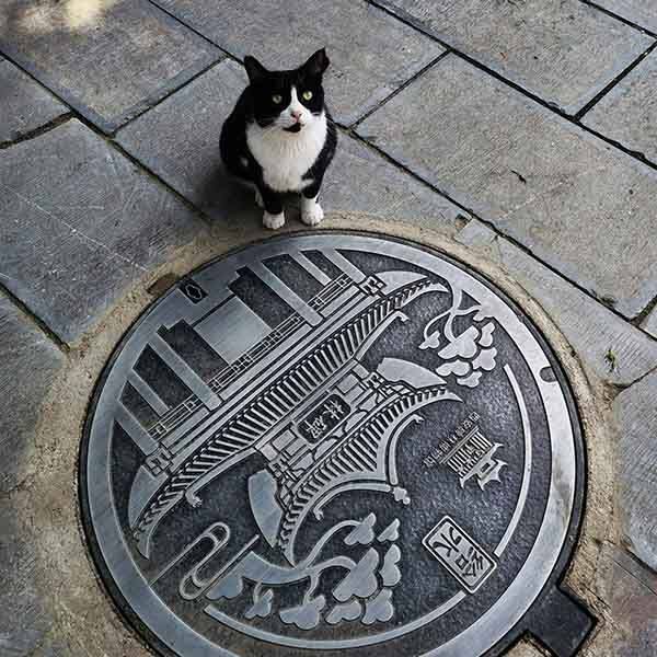 Aluminum alloy combined type artistic manhole cover3