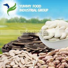Yummy Food Industrial Group company overview - view 1