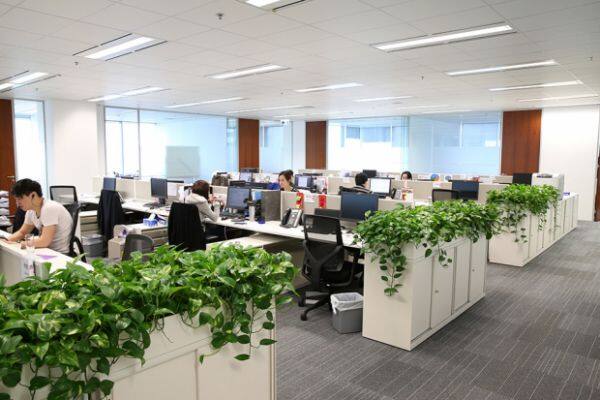 Bearing Trade Kingdoom company overview - view 1