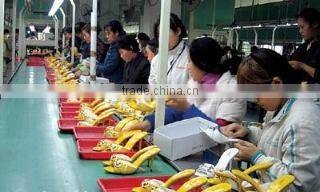 Shantou Chengguo Trading Co., Ltd. company overview - view 3