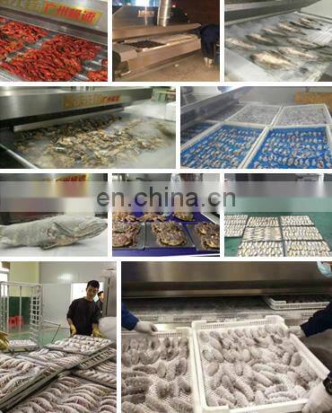 Tunnel freezing and flash freezing machine food with nitrogen