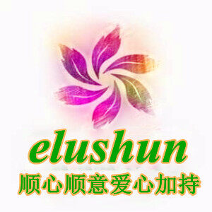 Guangzhou Lushun Electronic Technology co., Ltd