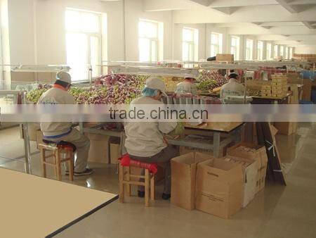 Harbin Evergreen Industrial Co., Ltd. company overview - view 2