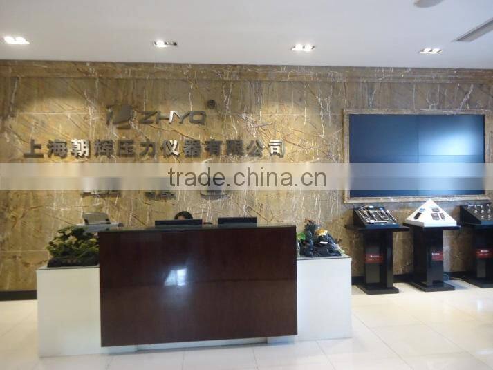 Shanghai Zhaohui Pressure Apparatus Co., Ltd. company overview - view 2