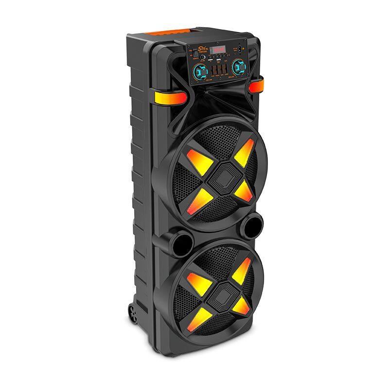 ZQS12205 super power 80W 12-inch*2 OEM cost-effective big party speaker with colorful lights