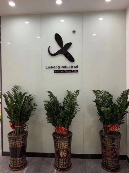 Dongguan Lishang Industrial Co.,Ltd. company overview - view 1