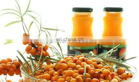 Commercial sea buckthorn juice processing line / sea buckthorn juice extracting machine