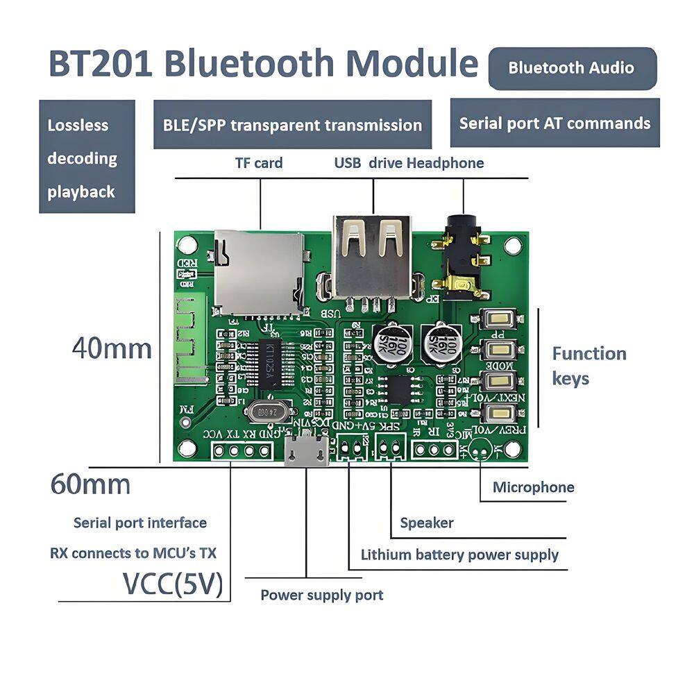 BT201 Module 15
