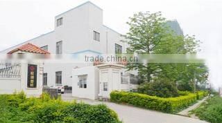 Dongguan Songhu Plastic Machine Corp. company overview - view 1