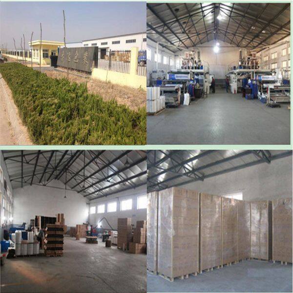 Jinan Luda Stretchfilm Co.,ltd company overview - view 1